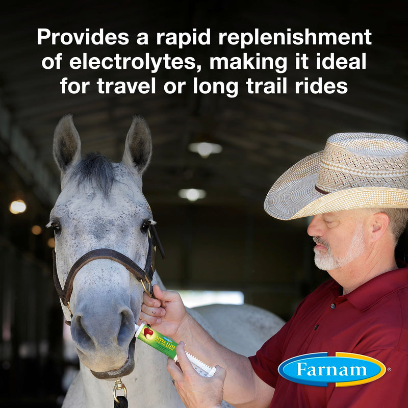 Farnam Apple Elite Horse Electrolyte Paste, Rapid replenisment of minerals lost in sweat during exercise, extreme weather and stressful conditions, 60 cc - BeesActive Australia