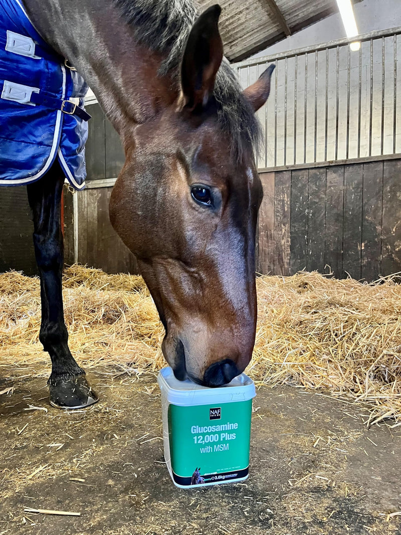 NAF Glucosamine 12,000 + MSM 3.6kg – High Strength Joint Supplement for Horses – Supports Joint Flexibility, Mobility & Comfort – With MSM for Connective Tissue Health