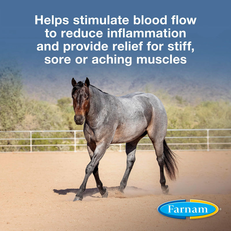 Farnam Vetrolin Horse Liniment for Muscle Soreness, Stiffness and Inflammation Relief on Horses, Helps Reduce Swelling, Aids in Pain Relief, 32 Oz. Quart - BeesActive Australia