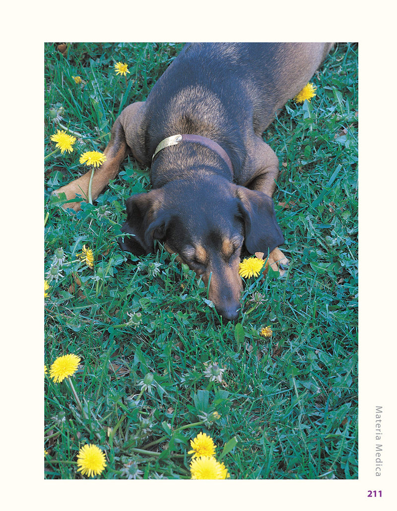 Herbs for Pets: The Natural Way to Enhance Your Pet's Life (CompanionHouse Books) A-Z Guide to Medicinal Plants, Holistic Recipes, and Nutritional Supplements for Dogs, Cats, Horses, Birds, and More - BeesActive Australia