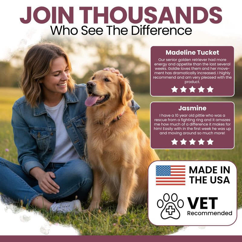 12-in-1 Multivitamin for Senior Dogs - 60 Senior Dog Vitamin and Supplement Soft Chews for Hip and Joint - Advanced Formula with Glucosamine, Omega 3,6,9, Vitamins, Probiotics - Made in the USA 60 Count