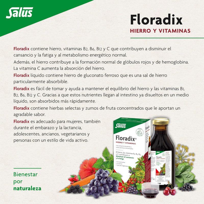 Floradix Liquid Iron and Vitamin Formula 250ml | Helps reduce tiredness and fatigue, with iron and vitamins 8.5 Fl Oz (Pack of 1)
