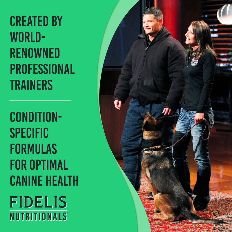 FIDELIS Joint Support Plus+ Hip & Joint Supplement for Dogs, Glucosamine for Dogs, Chondroitin Dog Treats, Vitamin C, Omega Fatty Acid, MSM, Adult, Big & Small, Made in USA, Duck Flavor, 60 Soft Chews Joint Plus+
