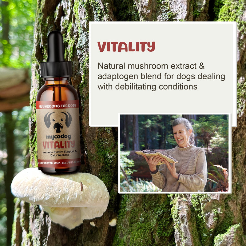 MycoDog Vitality - 20-in-1 Turkey Tail Mushroom for Dogs - Mushroom & Adaptogen Supplement for Senior Dogs - Supporting Immune Health & Daily Wellness - with Reishi, Chaga