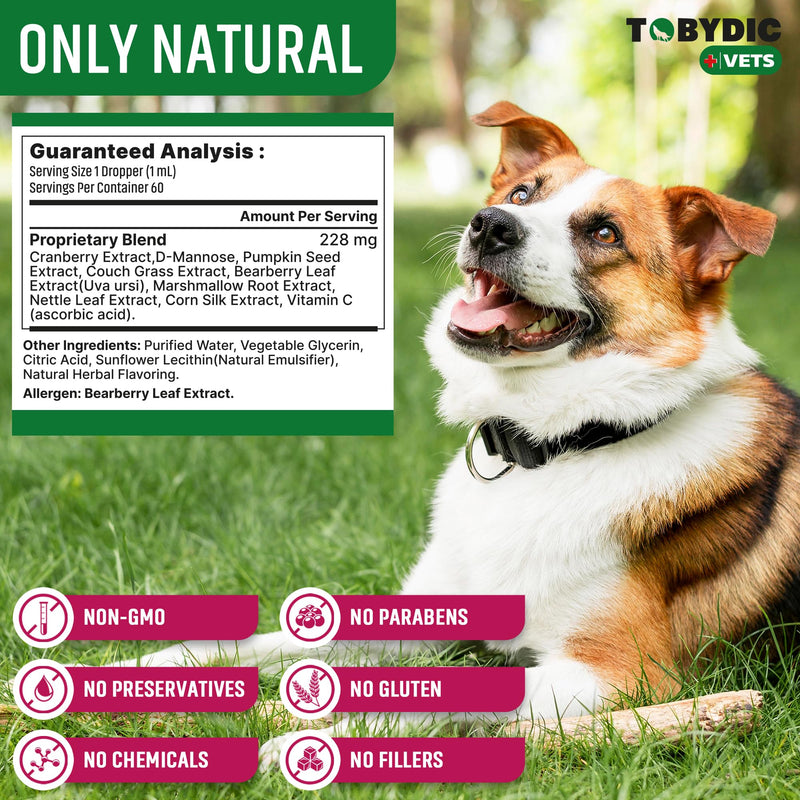 Cat & Dog UTI Treatment & Urinary Tract Infection Remedy with Cranberry & D-Mannose - Feline Natural Medicine for UTI Relief - Kidney + Bladder Support Supplement - Pet Renal Health 1 Pack (60 ml)