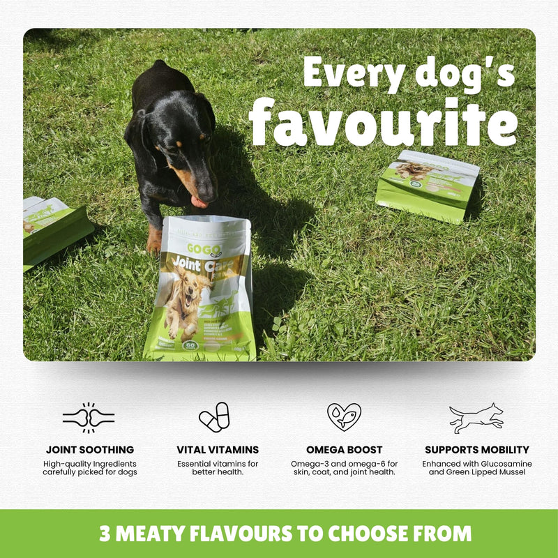 Joint Care Powder for Dogs Beef Flavour with Green Lipped Mussel and Glucosamine (300g) 300g