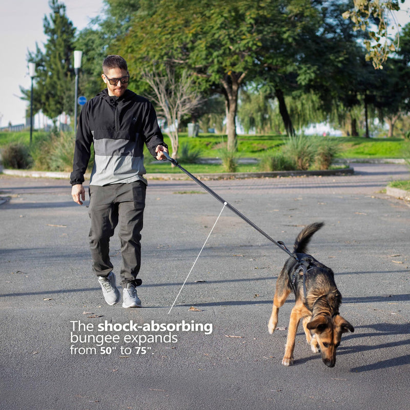Waist Leash for Dog Walking, Waist Dog Leash for Running, Hands Free with Metal Quick-Release Buckle, Rope Bungee, Neoprene Lumbar Support Black / Iron Grey - BeesActive Australia
