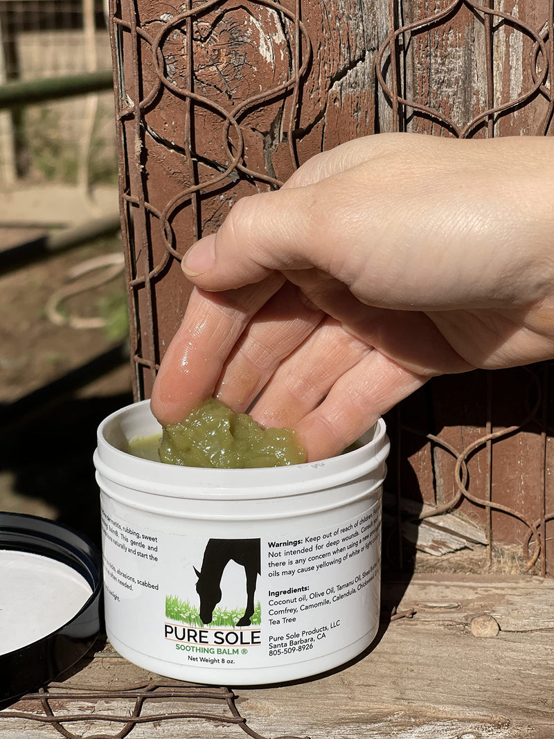 Wound Care Ointment for Horses and Dogs - Pure Sole Soothing Balm - Animal Wound Care for Cuts, Sores and Sweet Itch with All Natural Ingredients - 8 oz - BeesActive Australia