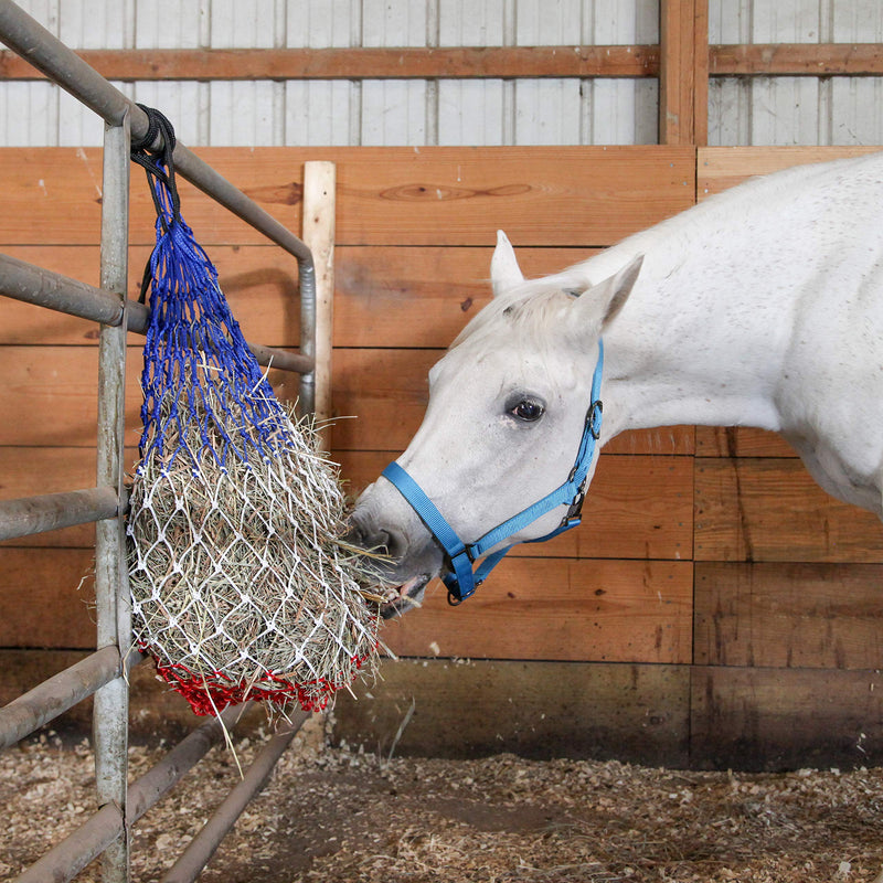 Majestic Ally 2 pcs Slow Feed 42” Hay Net for Horses, Strong Small 2x2” Holes, Nylon rope hanging, Adjustable Travel Feeder for Trailer and Stall, Simulates Grazing, Reduce Waste (Patriotic) Patriotic - BeesActive Australia