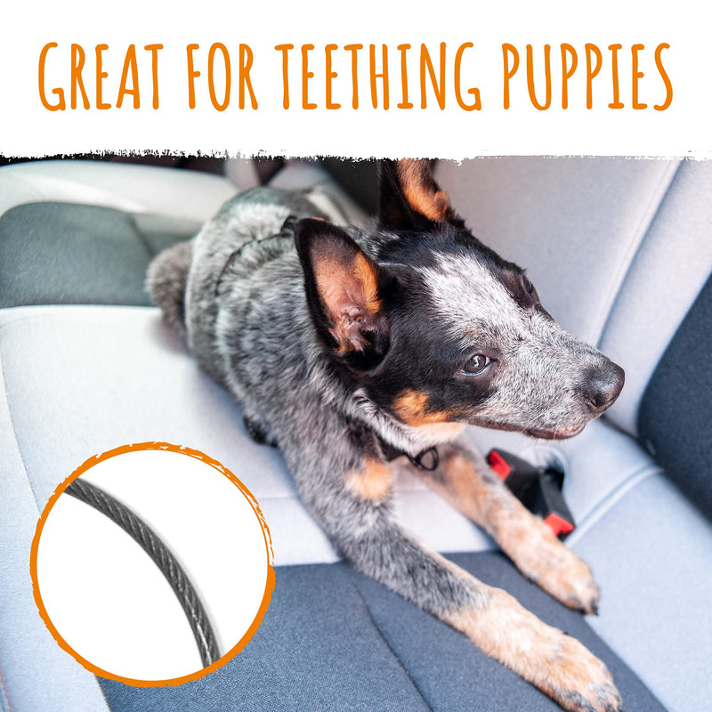 Mighty Paw Dog Seat Belt Vehicle - Chew-Proof Dog Belt - Great for Teething Puppies - Latch Bar Attachment Like Child's Car Seat - Aviation Aluminum Carabiner - Strong Enough for Climbers - 850+ LB Large Black - BeesActive Australia