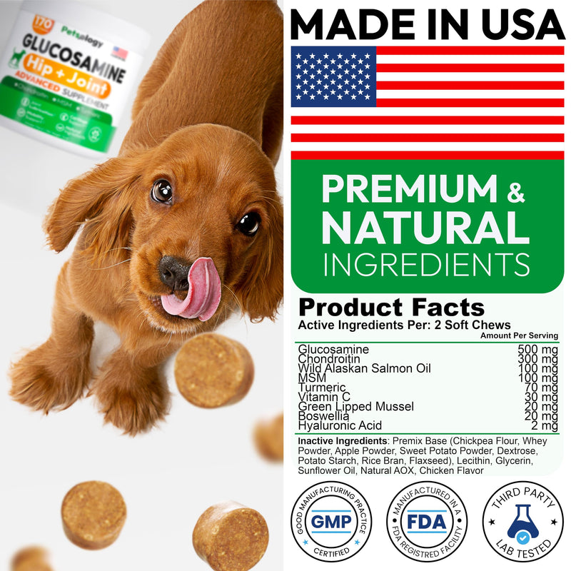 Glucosamine for Dogs - Hip and Joint Supplement for Dogs - 170 Mobility Chews - Glucosamine Chondroitin - MSM - Turmeric - Joint Pain Relief - Advanced Support for Dog Health - Made in USA 170 Chews Glucosamine Chews
