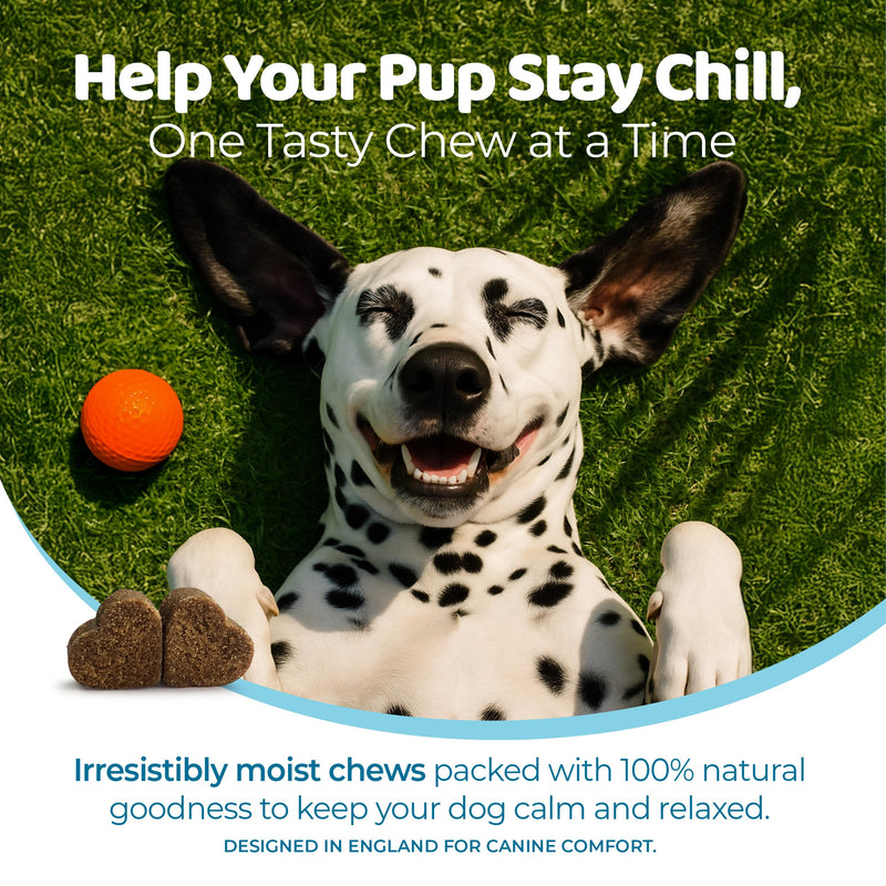 Relax & Calming Treats for Dogs – 120 Soft Dog Chews – Helps Fear, Barking, Aggression, Fireworks & Travel – Natural Duck Flavor Calming Dog Treats for All Breeds & Sizes
