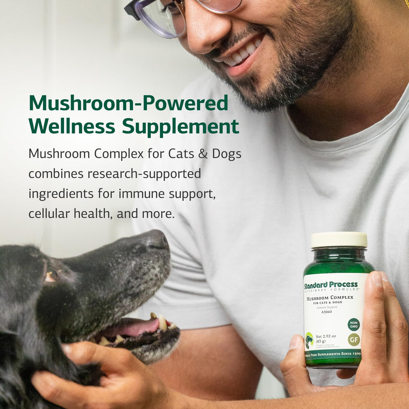 Standard Process Mushroom Complex for Dogs & Cats - Immune Support Supplement with Bovine Colostrum - Lion's Mane Extract Powder for Dog & Cat Immune Support - Essential Aid for Pet Health - 2.92 oz - PawsPlanet Australia