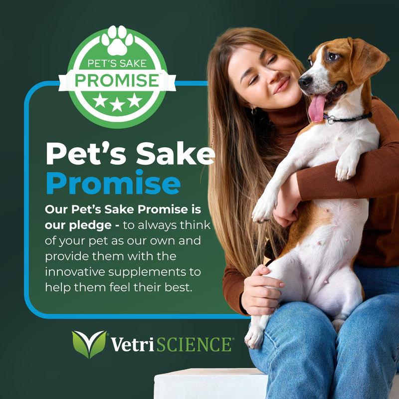 VetriScience VetriFlex Canine Formula - Active Joint Support Supplement for Dogs - Wellness Bites Support Comfortable Movement & Joint Relief - Agility & Flexibility Aid for Dogs - 60 Chews - PawsPlanet Australia