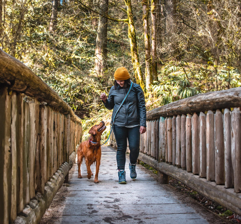 Kurgo 6 in 1 Quantum Leash, Hands Free Leash for Dogs, Running Belt Lead, Crossbody & Waist Belt Style, Reflective, Carabiner Clip, for Training, Hiking, or Jogging, 4 Colors Black - BeesActive Australia