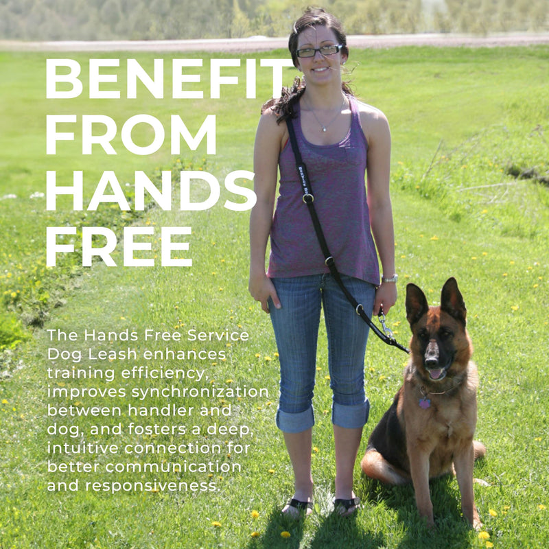ActiveDogs Hands Free Dog Leash Crossbody 6.5ft - Adjustable 4-Point Hands Free Leash with Service Dog Wrap for Increased Mobility & Training - Strong 3/4" Nylon & Double Stitched, Black 6.5' - BeesActive Australia