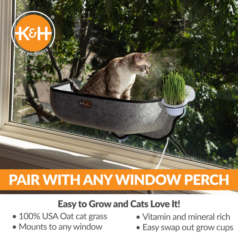 K&H Pet Products EZ Mount Grow Station Cat Grass for Indoor Cats, Healthy Home Grown Oat Grass Kit Mounts to Windows, Pairs Purr-fectly with Window Perches, Farmed in USA Non-GMO - 1 Refill Included - PawsPlanet Australia