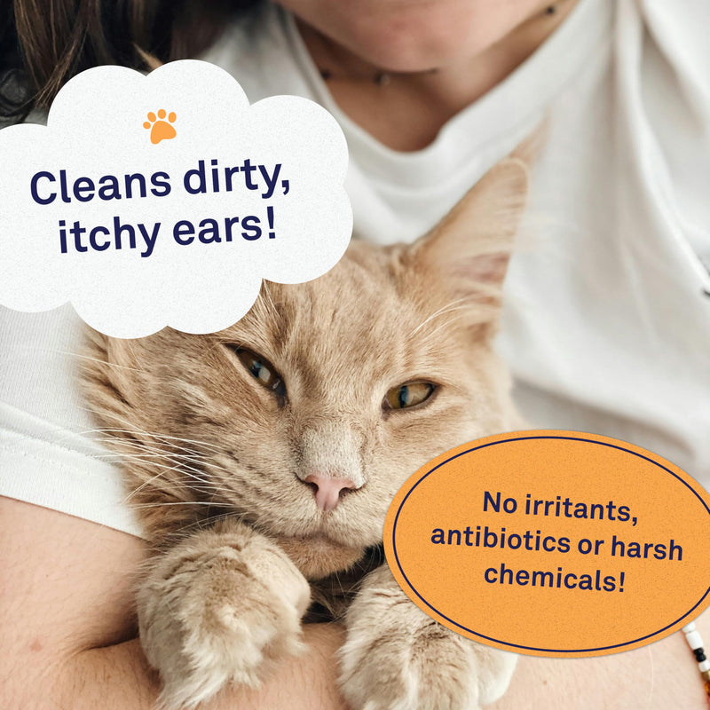 Petpost | Cat Ear Cleaner - Best Ear Remedy for Cats - Natural Coconut Oil Treatment Drops - Alcohol & Medicine Free - 8 oz. 8 oz. - BeesActive Australia