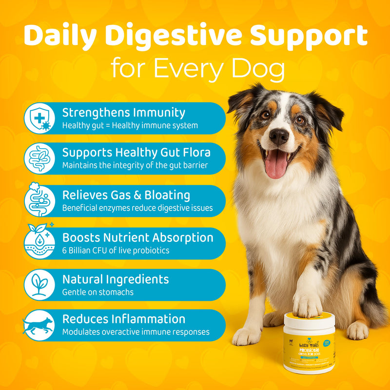 Probiotics Chews for Dogs – 120 Soft Dog Chews – Supports Gut Health, Stool Quality & Digestive Balance - Natural Beef Flavor – Probiotics Dog Treats for All Breeds & Sizes