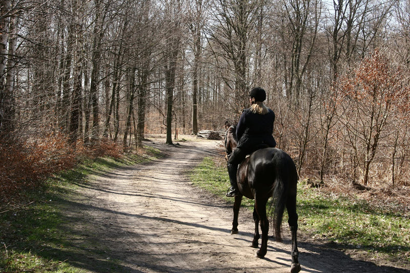 "BE COOL" COOKIES for a "Chilled Out" CALM COOL Horse - With Ashwagandha and B Vitamins