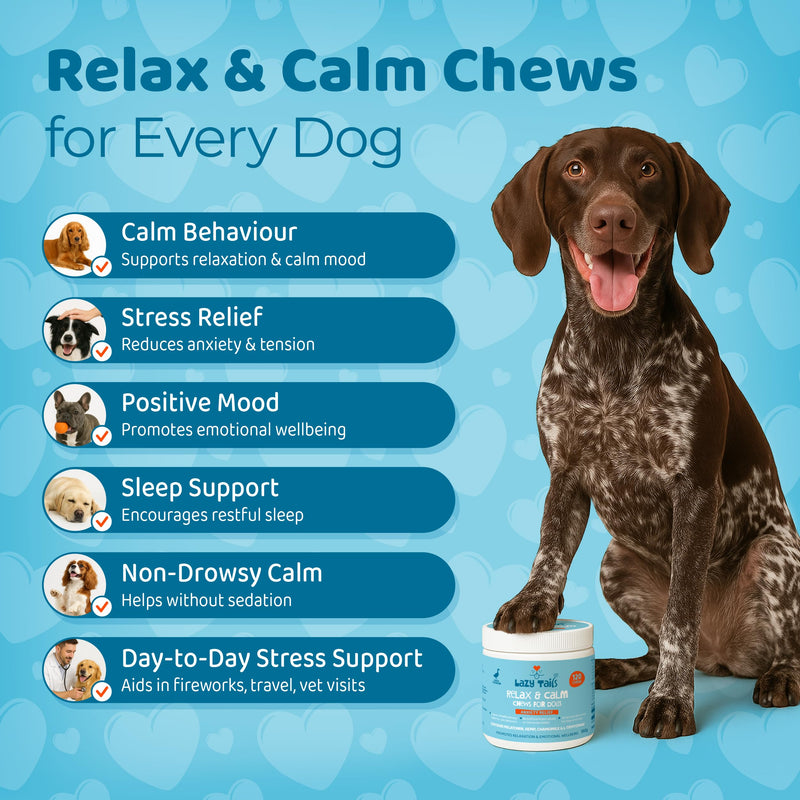 Relax & Calming Treats for Dogs – 120 Soft Dog Chews – Helps Fear, Barking, Aggression, Fireworks & Travel – Natural Duck Flavor Calming Dog Treats for All Breeds & Sizes