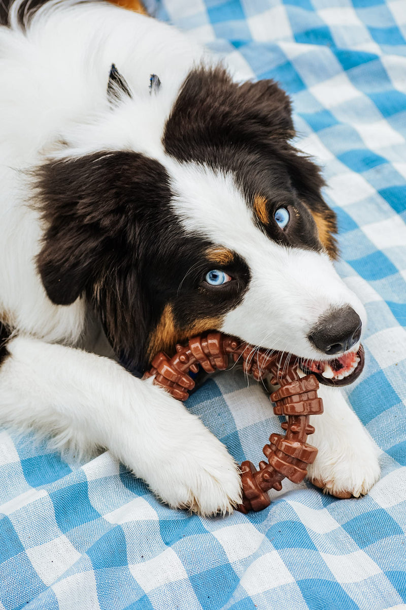 Nylabone Power Chew Textured Dog Chew Ring Toy, Dog Toys for Aggressive Chewers, Flavor Medley, X-Large/Souper (1 Count) X-Large/Souper (1 Count) - BeesActive Australia