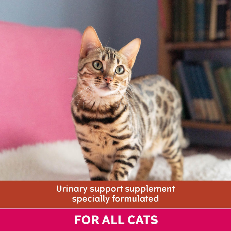 YuMOVE Urinary Care Supplements for Adult Cats, Urinary and Bladder Support with Natural Ingredients, 30 Sprinkle Capsules 30 capsules