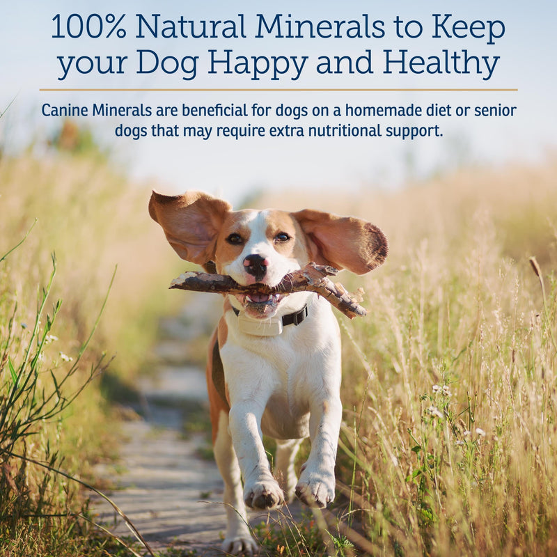 Rx Vitamins Canine Minerals - Essential Minerals for Dogs - Calcium, Magnesium, Iron Supplement, Bone and Joint Supplement for K9, Immune Support - 16oz New Label