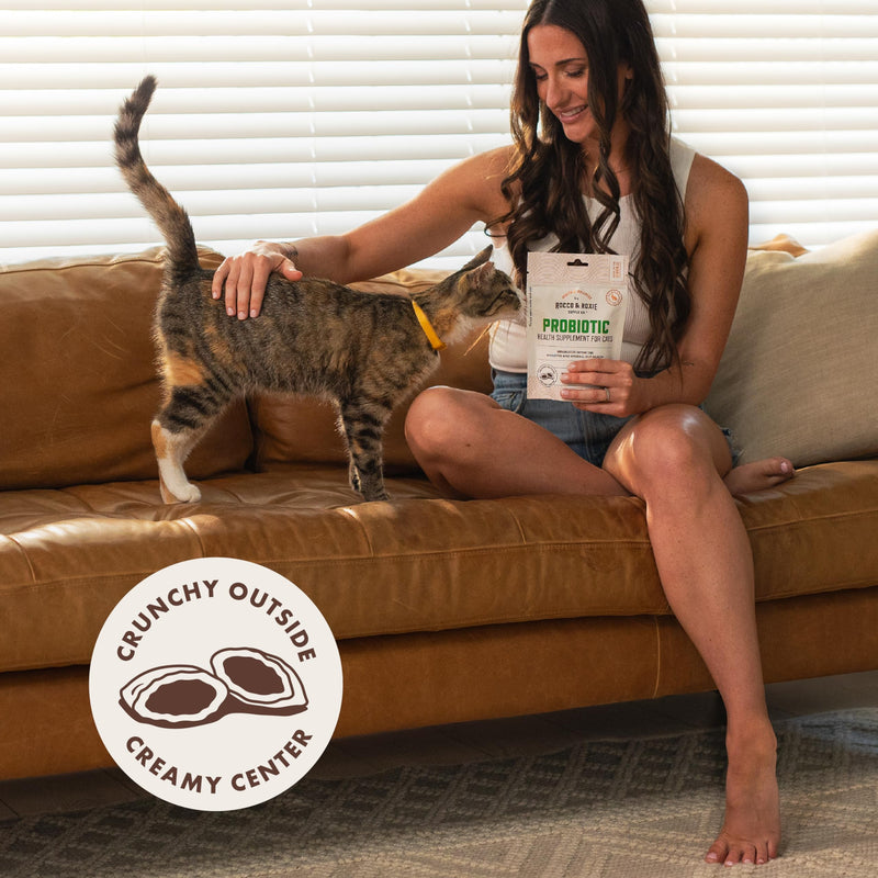 Rocco & Roxie Cat Probiotics, Health Supplement for Cats, Prebiotic & Postbiotic for Digestive + Gut Support, Constipation Relief, Anti Diarrhea, Supplements & Vitamins, Chicken Flavored Crunchy Chews