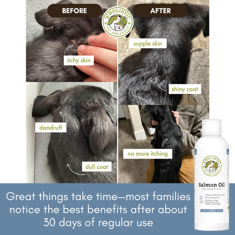 Wholistic Pet Organics Wild Alaskan Salmon Oil for Dogs and Cats - Omega 3 Fish Oil for Dogs & Cats - Cat & Dog Skin and Coat Supplement for Heart, Joints - DHA, EPA Omega 3 Liquid Food Topper - 8 oz