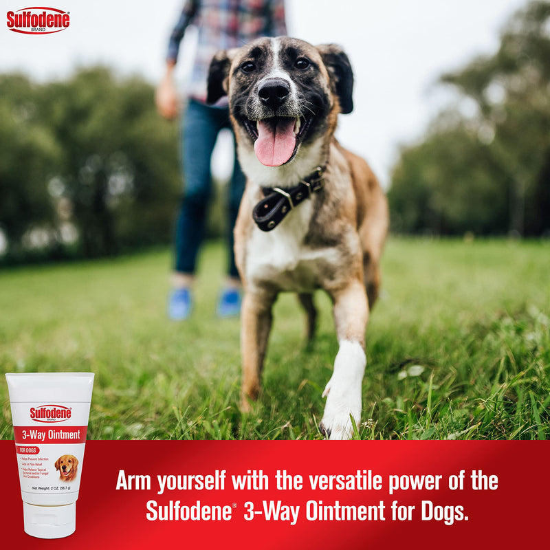 Remedy+Recovery and Farnam Sulfodene Dog Wound Infection Medications and Ointments Bundle - BeesActive Australia