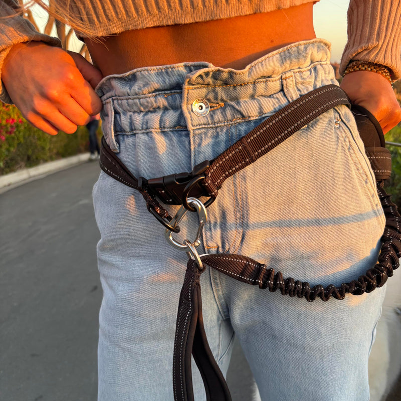 Shed Defender Hands Free Dog Leash Belt - Seen on Shark Tank - Attaches to Any Leash, Jogging & Running, Heavy Duty Buckle, Reflective Stitching, Adjustable one Size fits All, Designed in USA (Black) Black