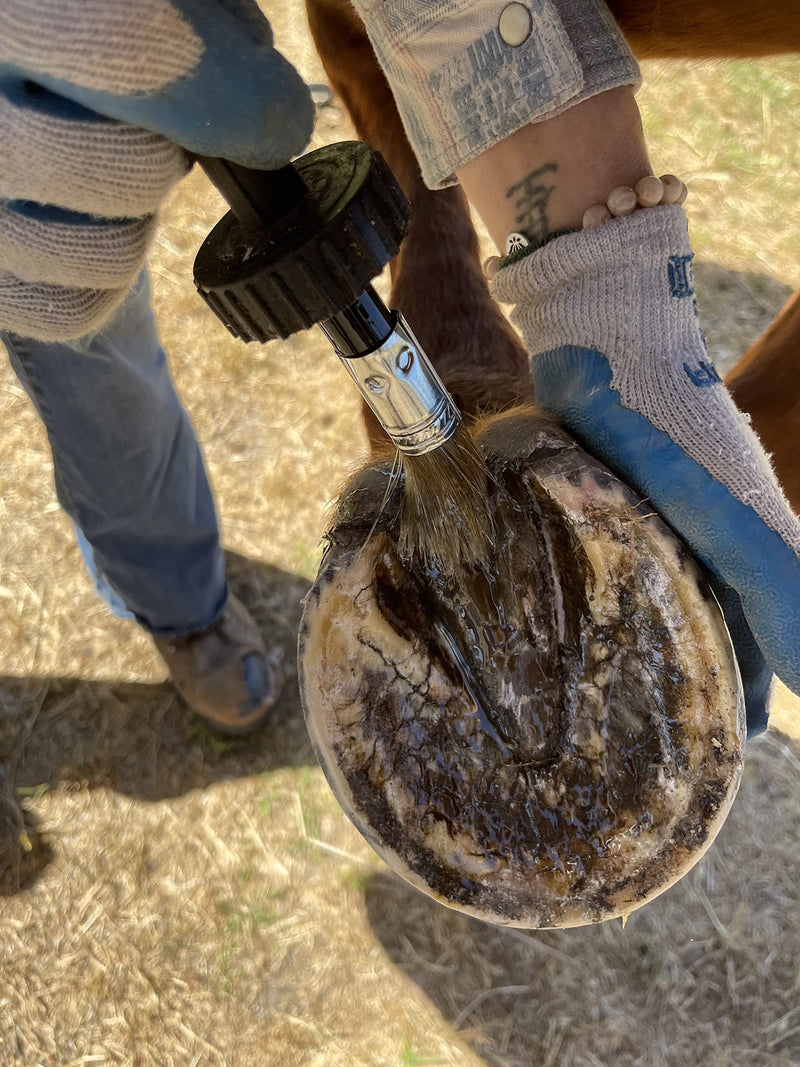 Hoof Oil - All Natural Hoof Conditioner for Horses with Hoof Oil Brush Applicator - Strengthens, Moisturizes and Treats Hoof Problems - 16 fl oz. - BeesActive Australia