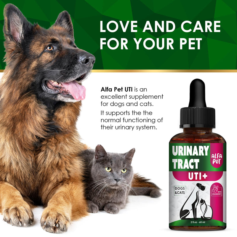 Сat Urinary Tract Infection Treatment with Cranberry – Dog UTI Treatment to Care for Bladder – Cat UTI Treatment for Kidneys – Preventive Support for Renal Health in Drops – 2 Oz - BeesActive Australia