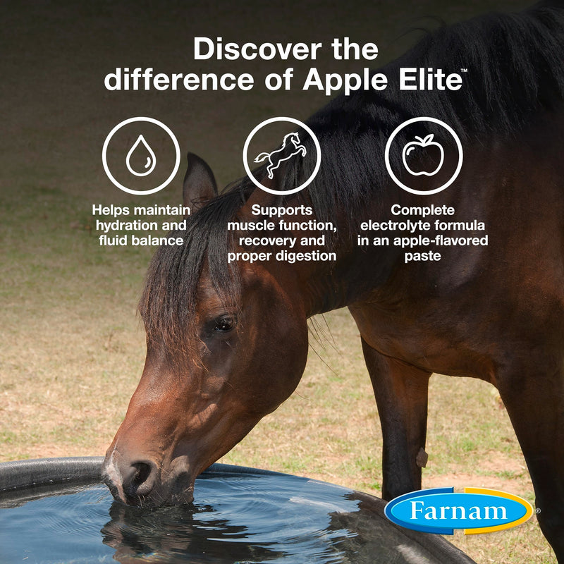 Farnam Apple Elite Horse Electrolyte Paste, Rapid replenisment of minerals lost in sweat during exercise, extreme weather and stressful conditions, 60 cc - BeesActive Australia