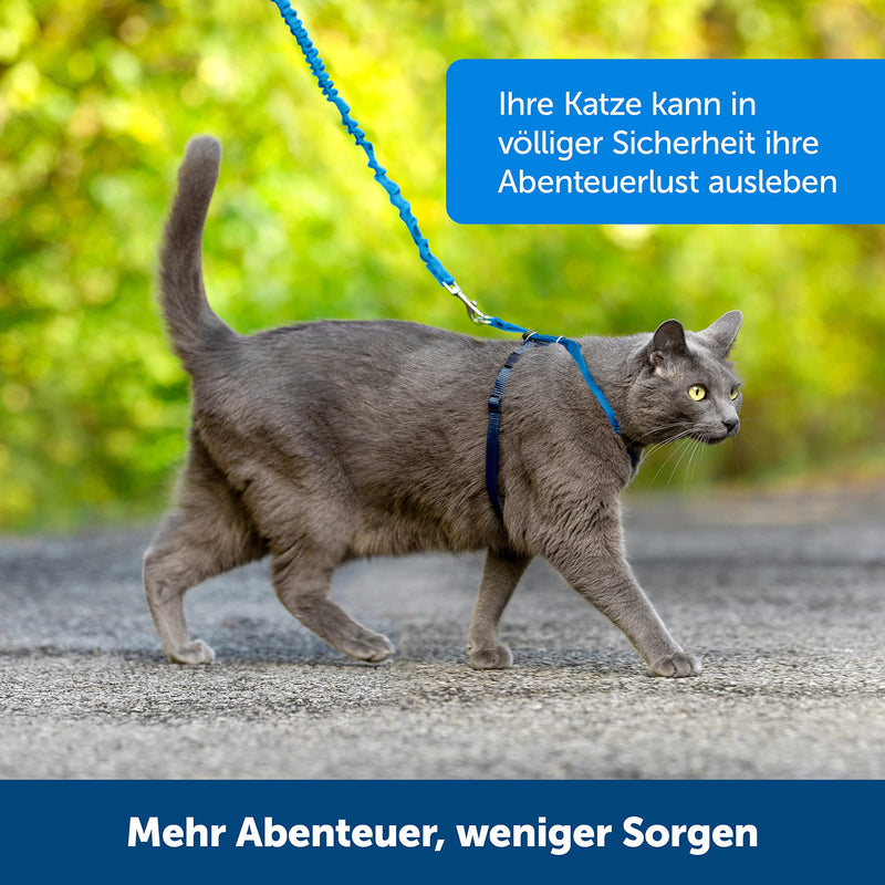 PetSafe Easy Walk Cat Harness, With Elastic Bungee Leash, For Walking Your Cat, Size M, Blue, CWMK-M-RYL-19 - BeesActive Australia
