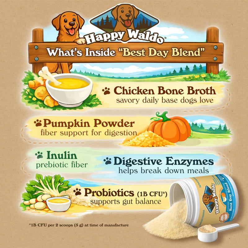 Bone Broth Dog Food Topper – Firm Stool Support, Digestion & Gut Health, Picky Eater Friendly with Pumpkin, Probiotics & Digestive Enzymes