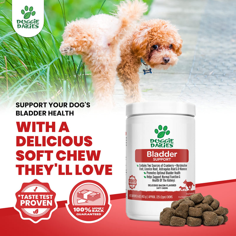 Doggie Dailies Cranberry Supplement for Dogs, 225 Soft Chews, Urinary Tract, Bladder & Kidney Support for Dogs, Cranberry for Dogs with Marshmallow Root, Licorice Root & Apple Cider Vinegar (Chicken) Chicken - BeesActive Australia
