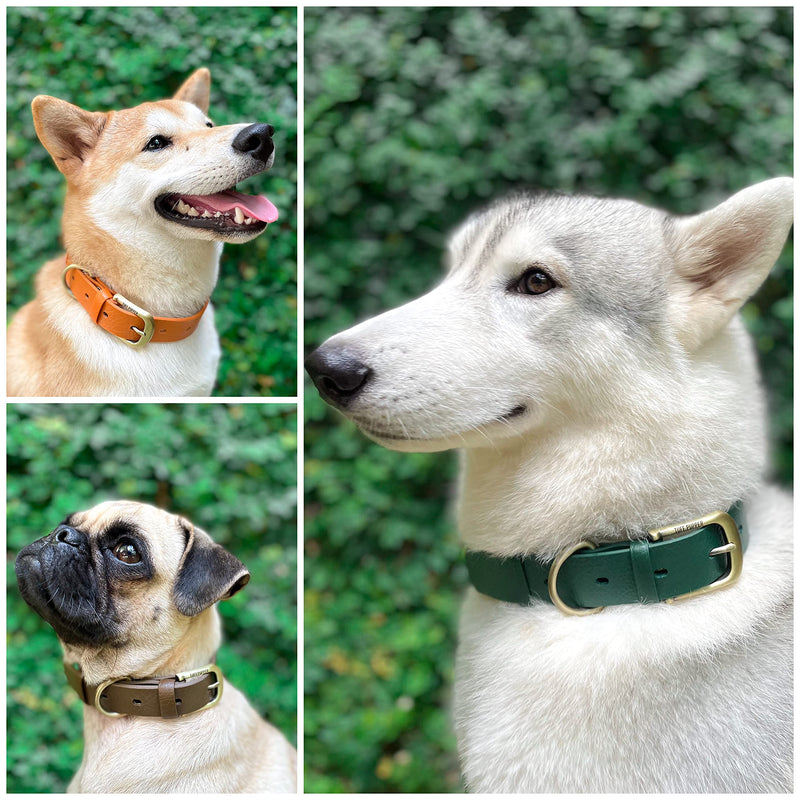 Tuff Pupper Classic Heavy Duty Dog Collar | 10x Stronger Than Leather | 100% Waterproof & Odor Proof Dog Collar | Tough Rust-Proof All Metal Hardware Medium (15-19" Neck) Forest Green Medium (15 - 19" Neck) - BeesActive Australia