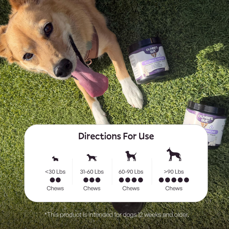 Oliver’s Gut™ Allergy & Immune Chews. Immune Support · Dog Supplement for Itchy Skin and Allergy Aid. Quercetin, Wild Alaskan Salmon Oil, Colostrum, Turmeric. Beef - 120 Count.