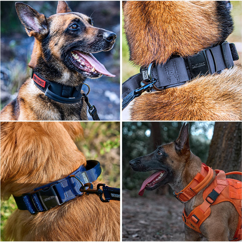 OneTigris Dog Collar with Metal Buckle for Dogs (Black, M) Black - BeesActive Australia
