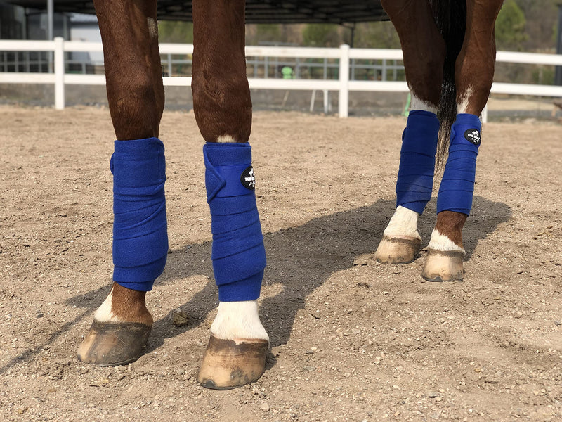 TGW RIDING Horse Polo Leg Wraps, Horse Leg Wraps, Horse Fleece Bandages,4-Pack Royal Blue - BeesActive Australia