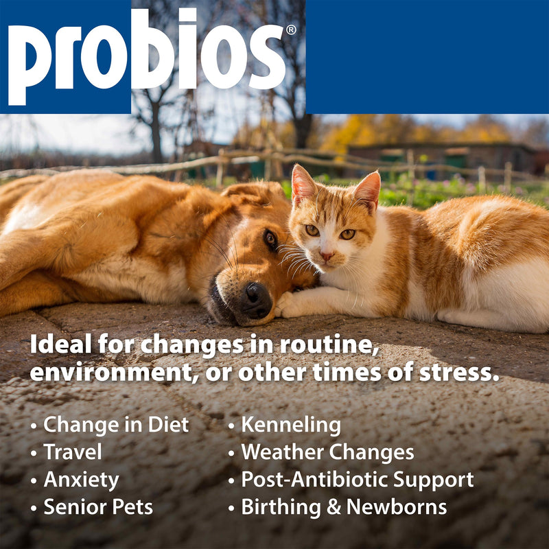 Probios Intelliflora for Dogs, Daily Probiotic Powder with Prebiotics, 200 Million CFU/g, Supports Gut Health Digestion and Immune Health, Chicken Liver, 30 Sachets (Pack of 2) 30 Count (Pack of 2)