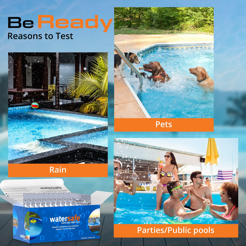 Watersafe Pool and Spa Rapid Bacteria Test, Test Strips to Detect Down to 1 Bacteria/μL in 15 Minutes, Including E. coli and Salmonella, Single Test - BeesActive Australia