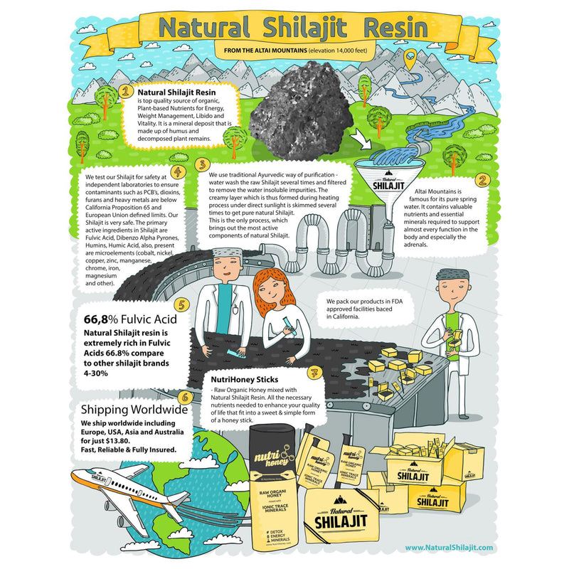NATURAL SHILAJIT Capsules (1-2 Months Supply) - 60 Count - Shilajit for Men & Women with Fulvic Acid & Trace Minerals, Plant Based Nutrients for Energy, Immune Support & Vitality Natural Shilajit Resin Capsules - 60 Count - BeesActive Australia