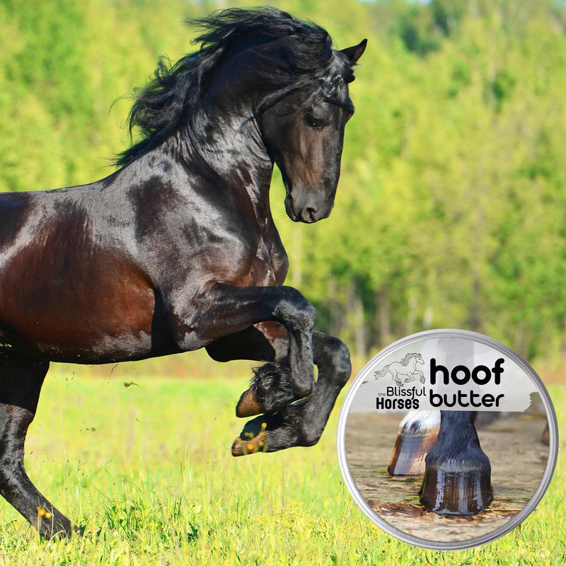 The Blissful Horses Hoof Butter All Natural Support for Your Horse's Hooves, 4-Ounce - BeesActive Australia