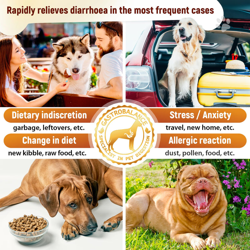 fast-acting diarrhoea relief for dogs – Natural dog diarrhea treatment with immediate results (for large dogs > 10 kg) for large dogs > 10 kg