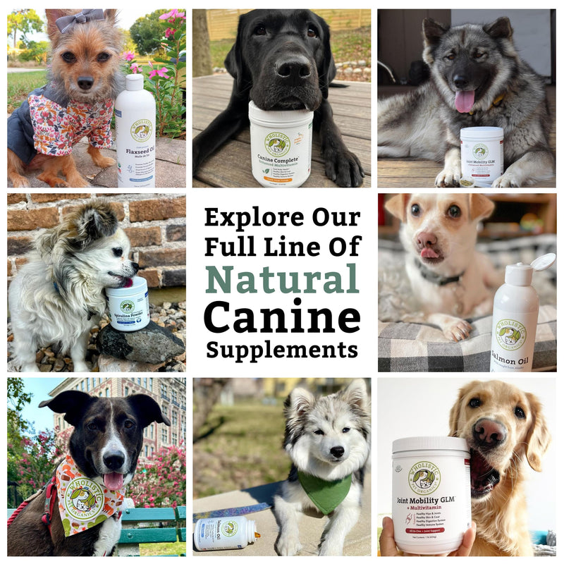 Wholistic Pet Organics Run Free - 4 Oz - Dog Joint Supplement for Senior Dogs, Glucosamine Chondroitin MSM, Dog Vitamins, Cat Joint Pain Relief - PawsPlanet Australia