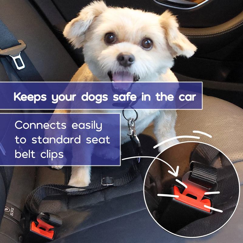 Mr. Pen- Dog Seat Belt, 2 Pack, Adjustable Dog Seat Belt for Car, Dog Seatbelt, Dog Car Seat Belts, Seat Belt for Dogs in Car, Dog Car Seat Belt, Dog Car Leash, Dog Seatbelt Harness, Pet Seatbelt - BeesActive Australia