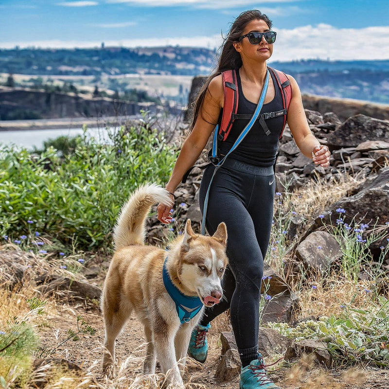 Kurgo 6 in 1 Quantum Leash, Hands Free Leash for Dogs, Running Belt Lead, Crossbody & Waist Belt Style, Reflective, Carabiner Clip, for Training, Hiking, or Jogging, 4 Colors Black - BeesActive Australia